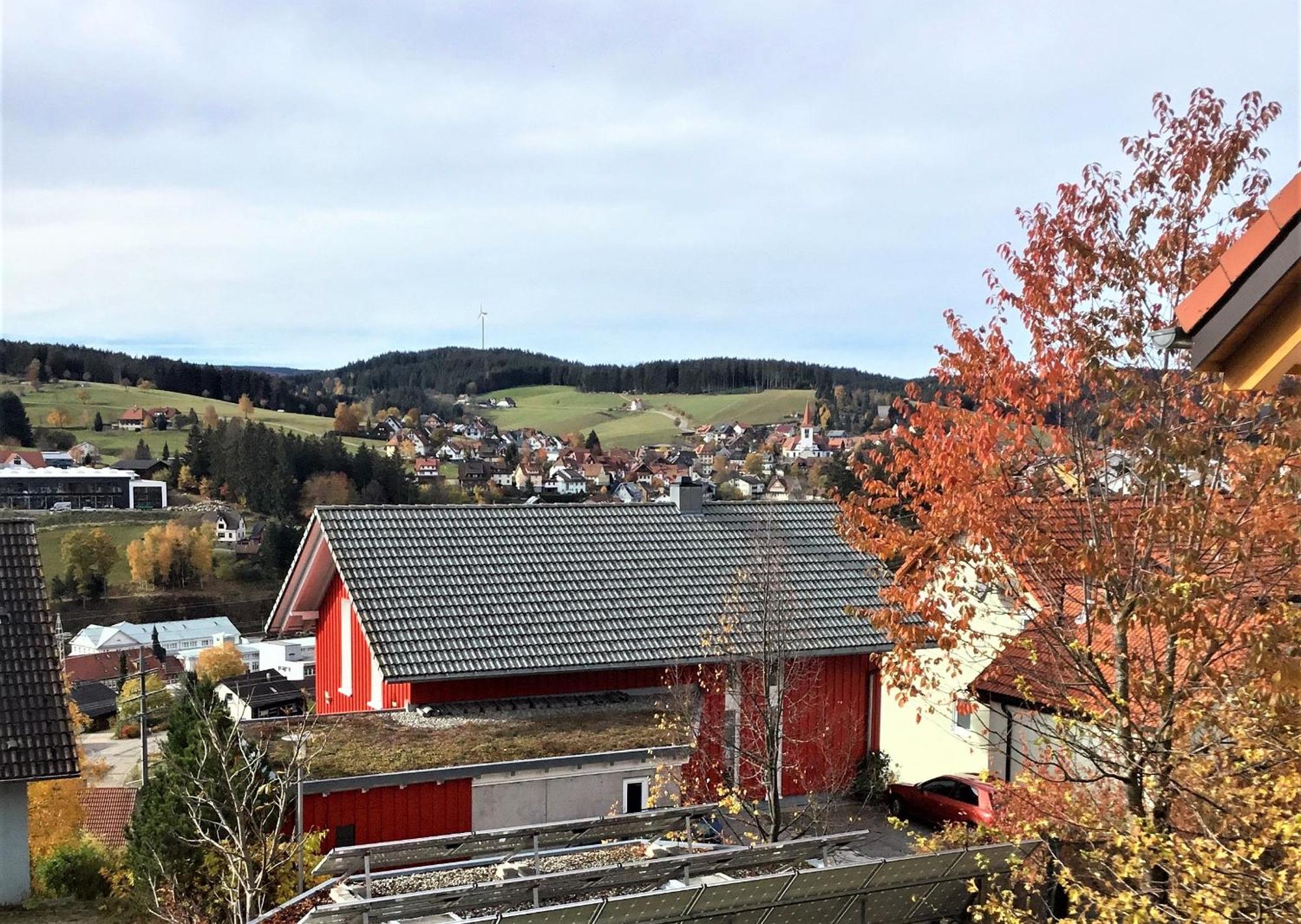 Ferienwohnung Alexander Feiss Schonach im Schwarzwald Exterior foto
