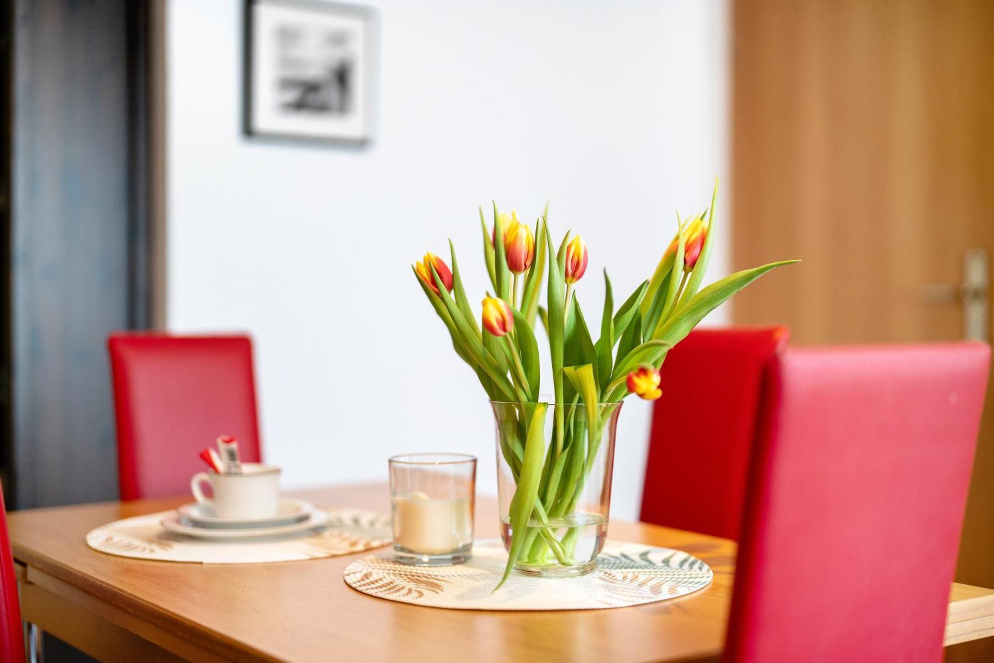 Ferienwohnung Alexander Feiss Schonach im Schwarzwald Exterior foto